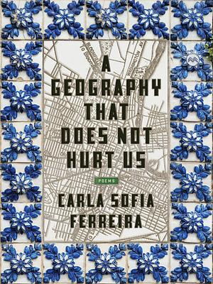 A Geography That Does Not Hurt Us by Carla Sofia Ferreira