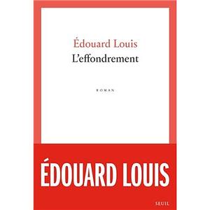 L'effondrement by Édouard Louis