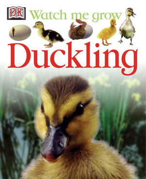 Duckling by Lisa Magloff