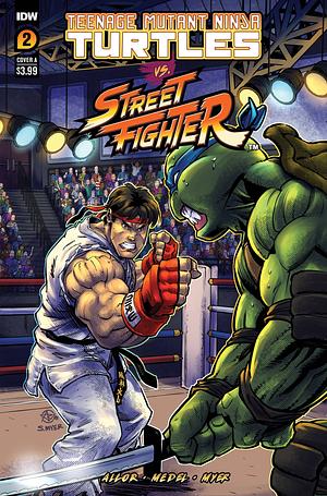 Teenage Mutant Ninja Turtles vs. Street Fighter #2 by Paul Allor