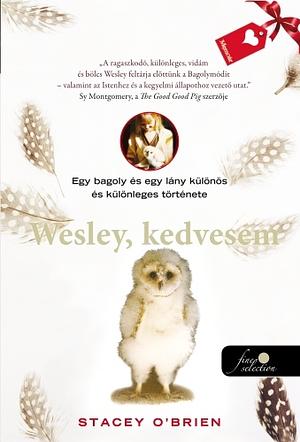 Wesley, kedvesem: Egy bagoly és egy lány különös és különleges története by Stacey O'Brien