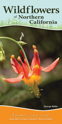 Wildflowers of Northern California: Your Way to Easily Identify Wildflowers by George Miller