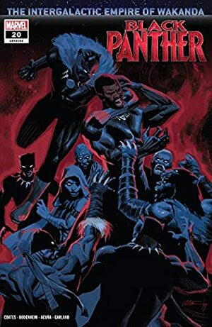 Black Panther (2018-) #20 by Ryan Bodenheim, Daniel Acuña, Ta-Nehisi Coates
