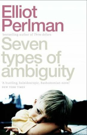 Seven Types of Ambiguity by Elliot Perlman