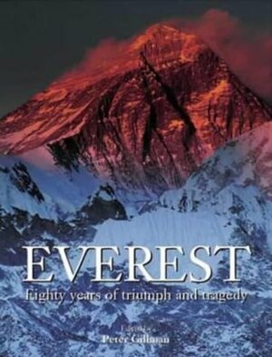 Everest by Leni Gillman