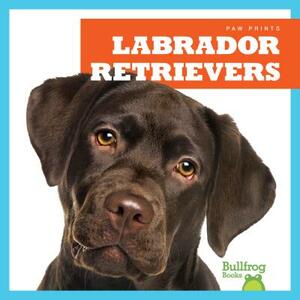 Labrador Retrievers by Jenna Lee Gleisner