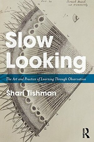 Slow Looking: The Art and Practice of Learning Through Observation by Shari Tishman