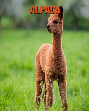 Alpaca: Fun Learning Facts About Alpaca by Sybil Edward