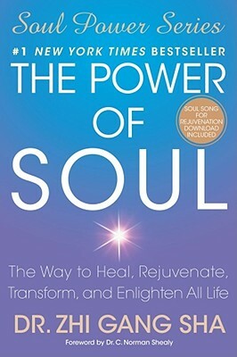 Power of Soul by Gang Sha Zhi