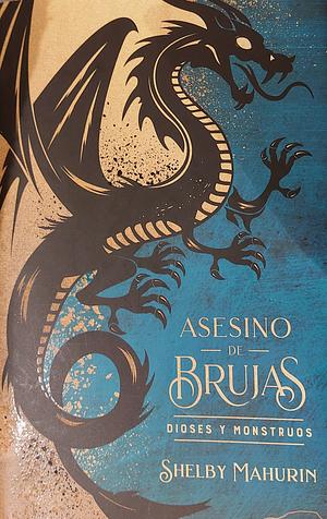 Asesino de Brujas: Dioses y Monstruos by Shelby Mahurin