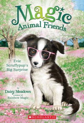 Evie Scruffypup's Big Surprise (Magic Animal Friends #10) by Daisy Meadows