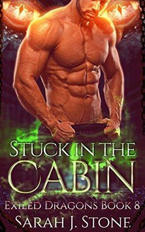 Stuck In The Cabin by Sarah J. Stone