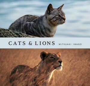 Cats & Lions by Mitsuaki Iwago