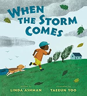 When the Storm Comes by Taeeun Yoo, Linda Ashman
