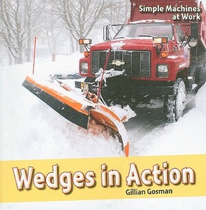 Wedges in Action by Gillian Gosman