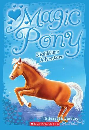 Nighttime Adventure by Elizabeth Lindsay