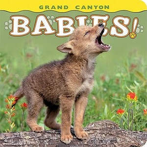 Grand Canyon Babies! by Lisa Husar