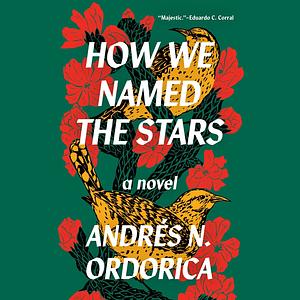 How We Named the Stars by Andrés N. Ordorica