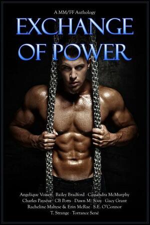 Exchange of Power by Cassandra McMurphy, Erin McRae, Angelique Voisen, Bailey Bradford, Dawn M. Sooy, Racheline Maltese, Charles Payseur, Torrance Sené, C.B. Potts, T. Strange, S.E. O'Connor, Jaymi Lynn, Gacy Grant