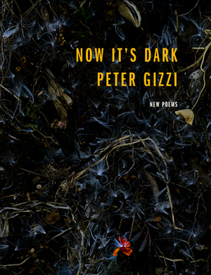 Now It's Dark by Peter Gizzi