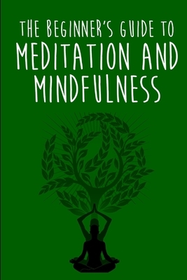 The Beginner's Guide to Meditation and Mindfulness by Martin Brandt