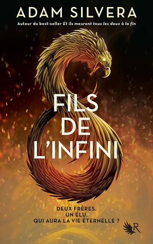 Fils de l'infini by Adam Silvera