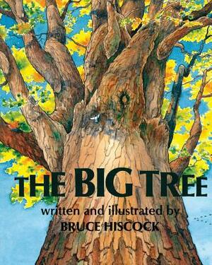 The Big Tree by Bruce Hiscock