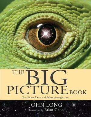 The Big Picture Book by John Long