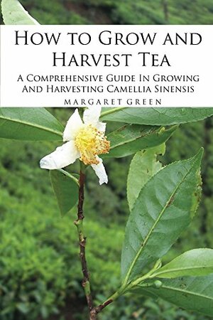 How to Grow and Harvest Tea: A Comprehensive Guide In Growing And Harvesting Camellia Sinensis (Growing And Using Herbs Book 1) by Margaret Green