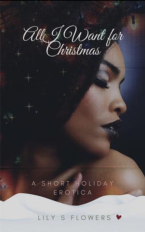 All I Want for Christmas : A Holiday Romance by Lily Flowers