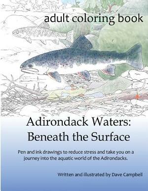 Adirondack Waters: Beneath the Surface by Dave Campbell