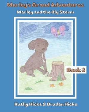 Marley and the Big Storm by Kathy Hicks, Braden Hicks