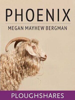 Phoenix (Ploughshares Solos) by Megan Mayhew Bergman