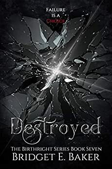 Destroyed by Bridget E. Baker