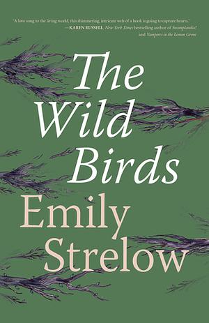 The Wild Birds by Emily Strelow