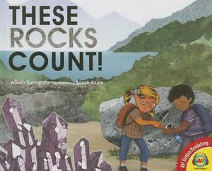 These Rocks Count! by Alison Formento