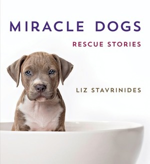 Miracle Dogs: Rescue Stories by Liz Stavrinides