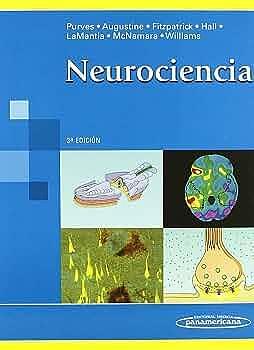 Neurociencia. by David Fitzpatrick, George J Augustine, Dale Purves, Dale Purves