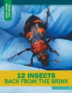 12 Insects Back from the Brink by Samantha S. Bell