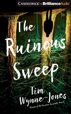 The Ruinous Sweep by Tim Wynne-Jones