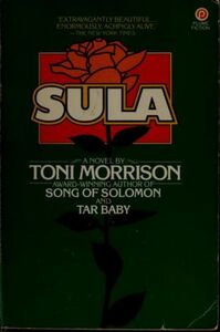 Sula by Toni Morrison