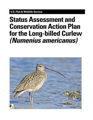 Status Assessment and Conservation Action Plan for the Long-billed Curlew (Numenius americanus) by U. S. Department of Interior, Fish And Wildlife Service, Stephanie L. Jones