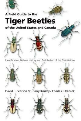 A Field Guide to the Tiger Beetles of the United States and Canada: Identification, Natural History, and Distribution of the Cicindelidae by David L. Pearson, Charles J. Kazilek, C. Barry Knisley