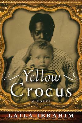 Yellow Crocus by Laila Ibrahim