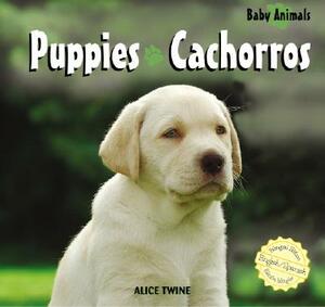 Puppies/Cachorros by Alice Twine