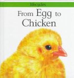 From Egg to Chicken by Gerald Legg, David Salariya