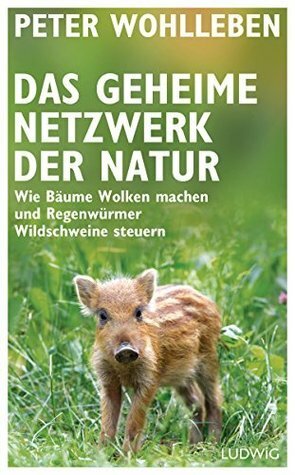 Das geheime Netzwerk der Natur: Wie Bäume Wolken machen und Regenwürmer Wildschweine steuern by Peter Wohlleben
