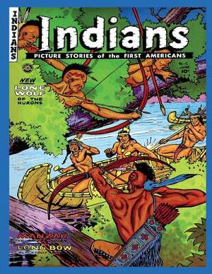 Indians #12 by Fiction House