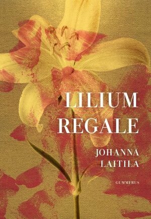 Lilium regale by Johanna Laitila