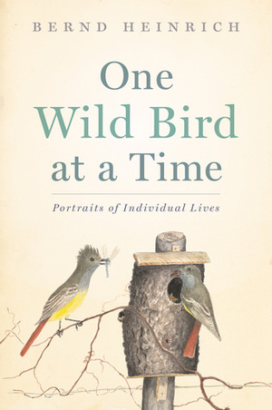 One Wild Bird at a Time: Portraits of Individual Lives by Bernd Heinrich